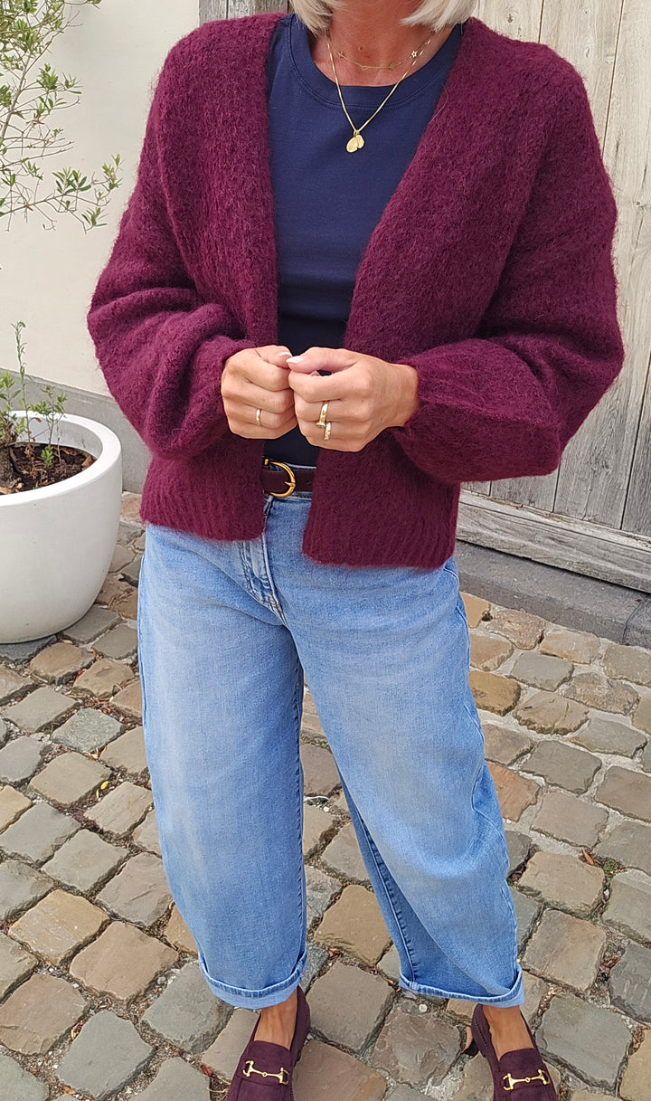 BERTILLE cardigan burgundy