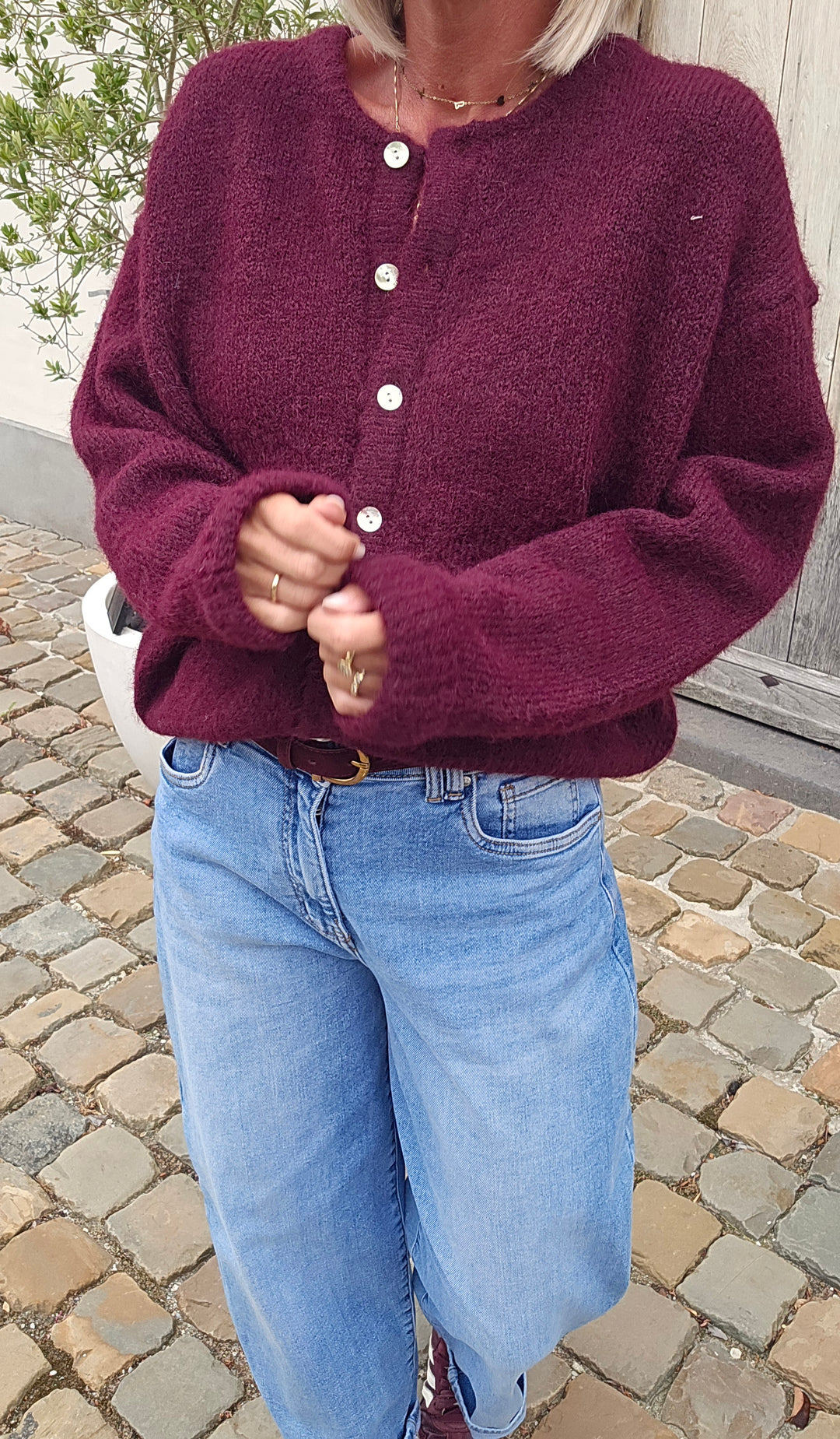 LIESJE cardigan burgundy
