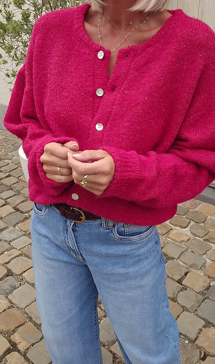 LIESJE cardigan mulberry