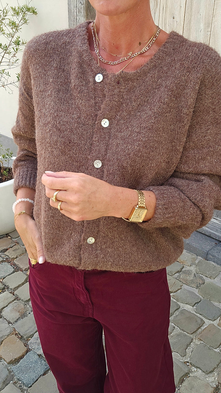 LIESJE cardigan hazelnut